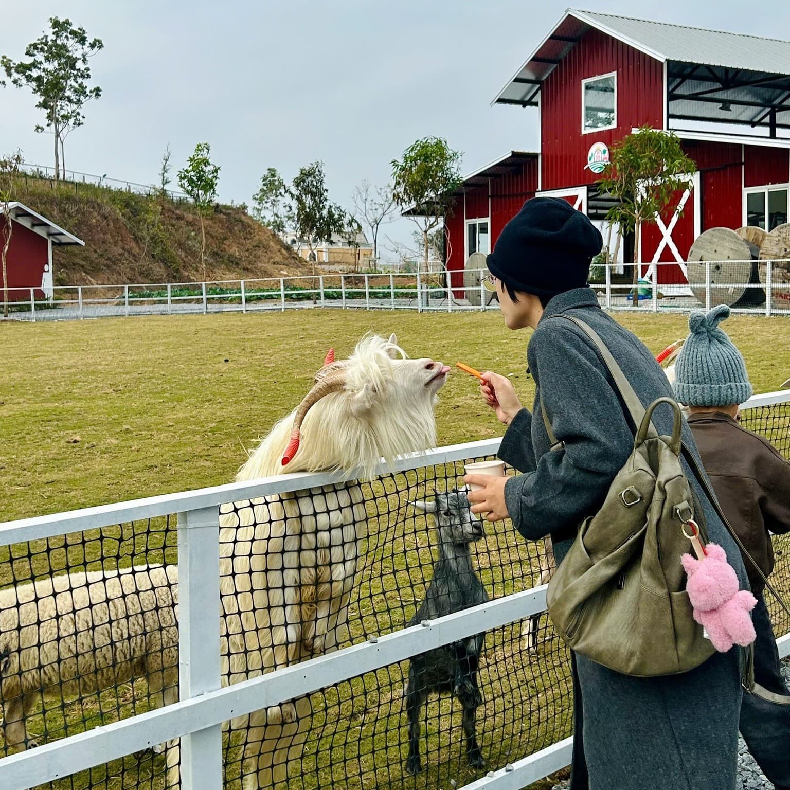 Farm activities at Tuan Chau